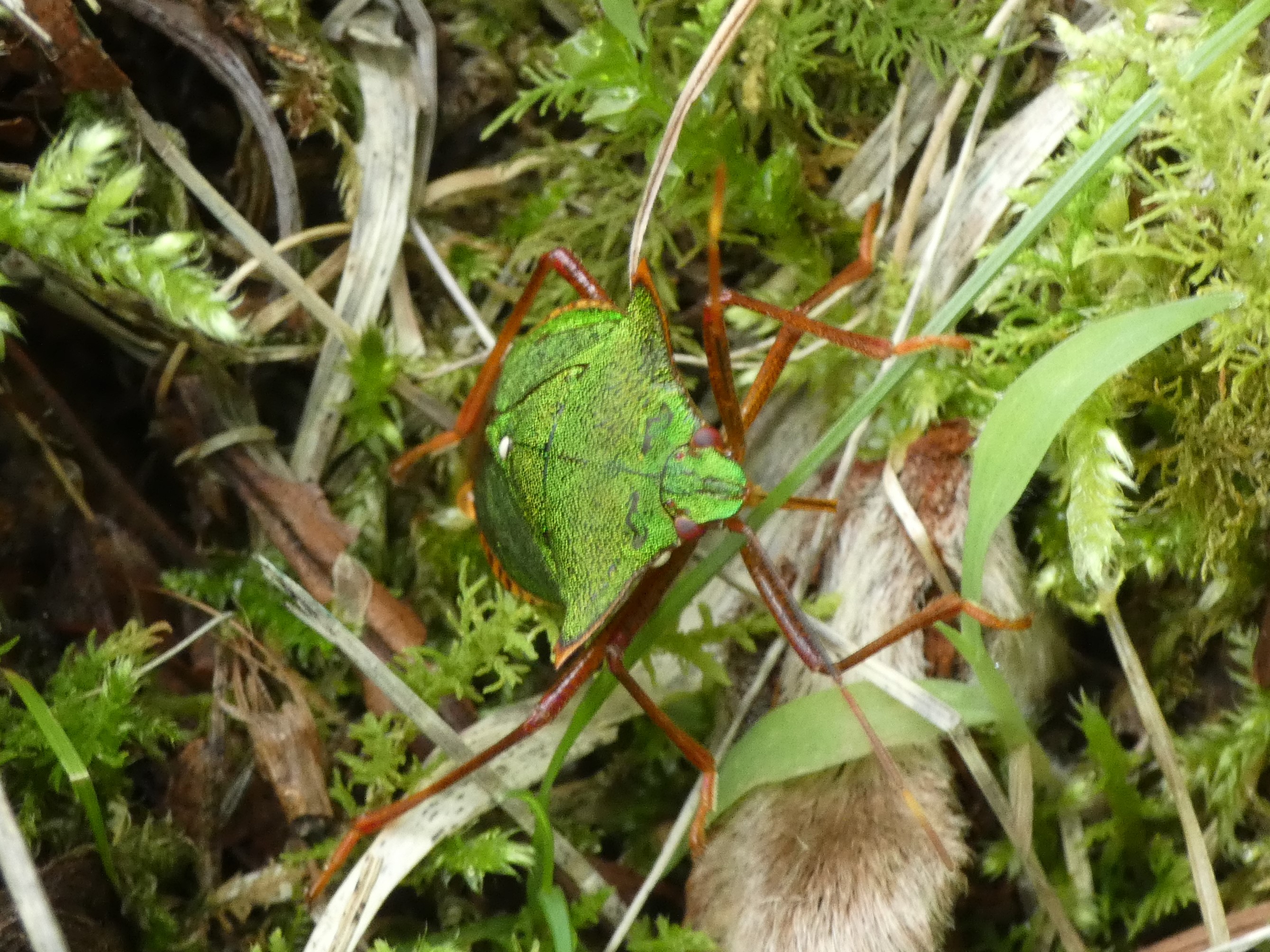 photo_2